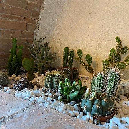 Cactus Suite Pisa Exterior foto